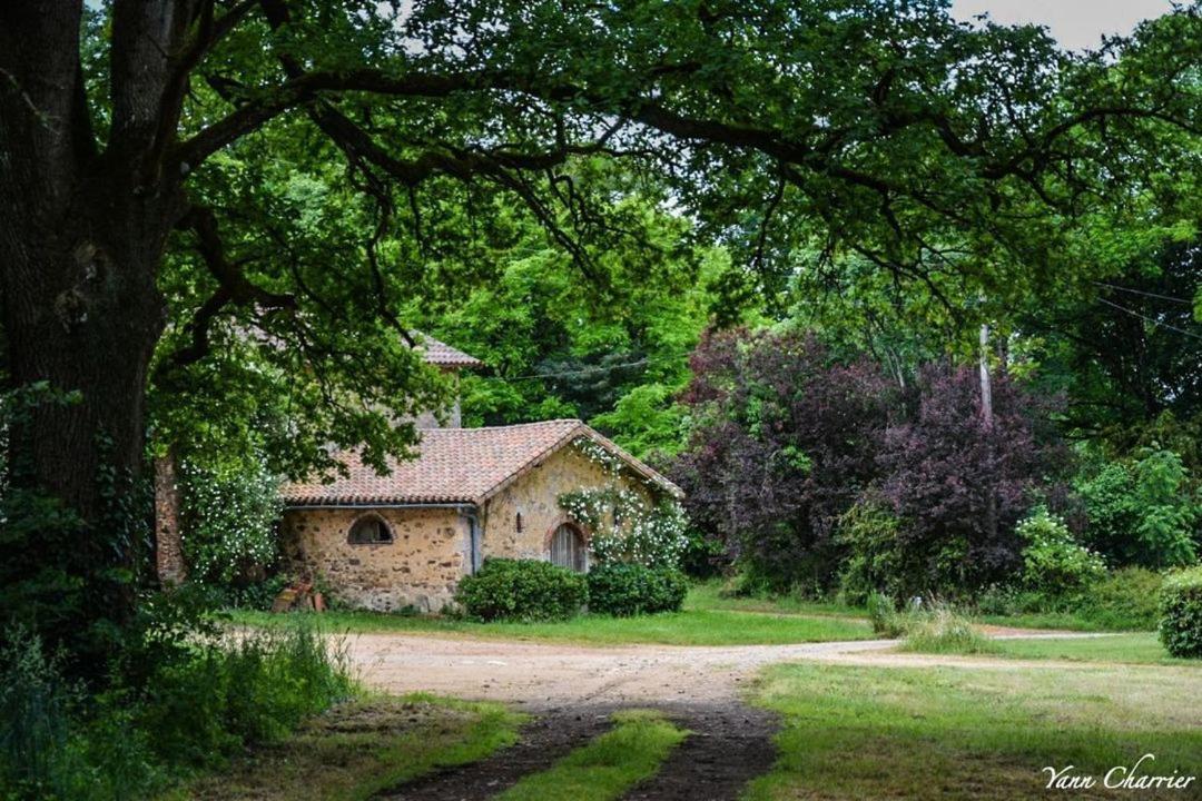 Domaine Des Roches Blanches Villa Le Pin  ภายนอก รูปภาพ