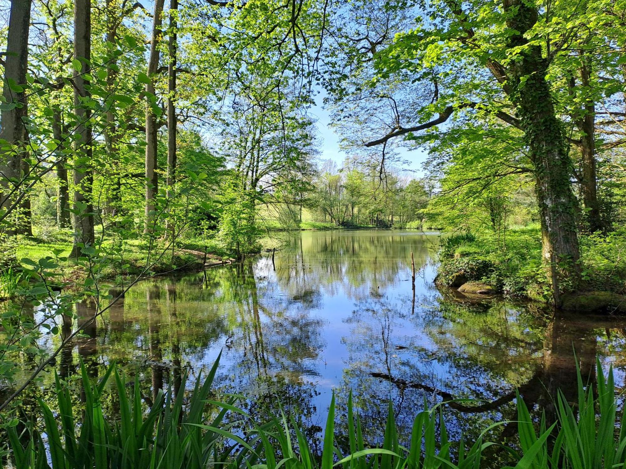 Domaine Des Roches Blanches Villa Le Pin  ภายนอก รูปภาพ