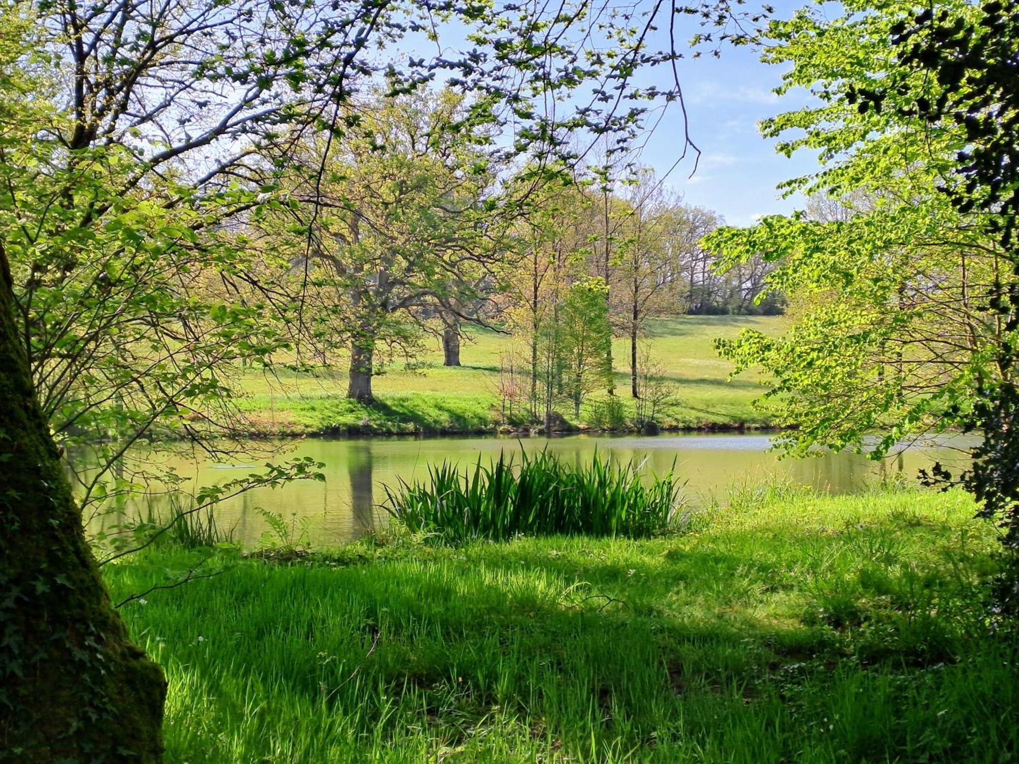 Domaine Des Roches Blanches Villa Le Pin  ภายนอก รูปภาพ