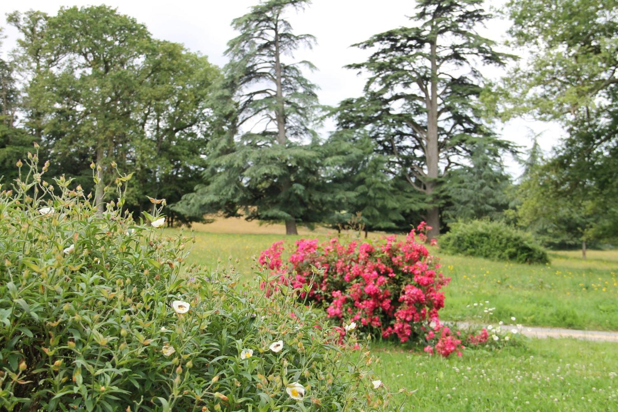 Domaine Des Roches Blanches Villa Le Pin  ภายนอก รูปภาพ
