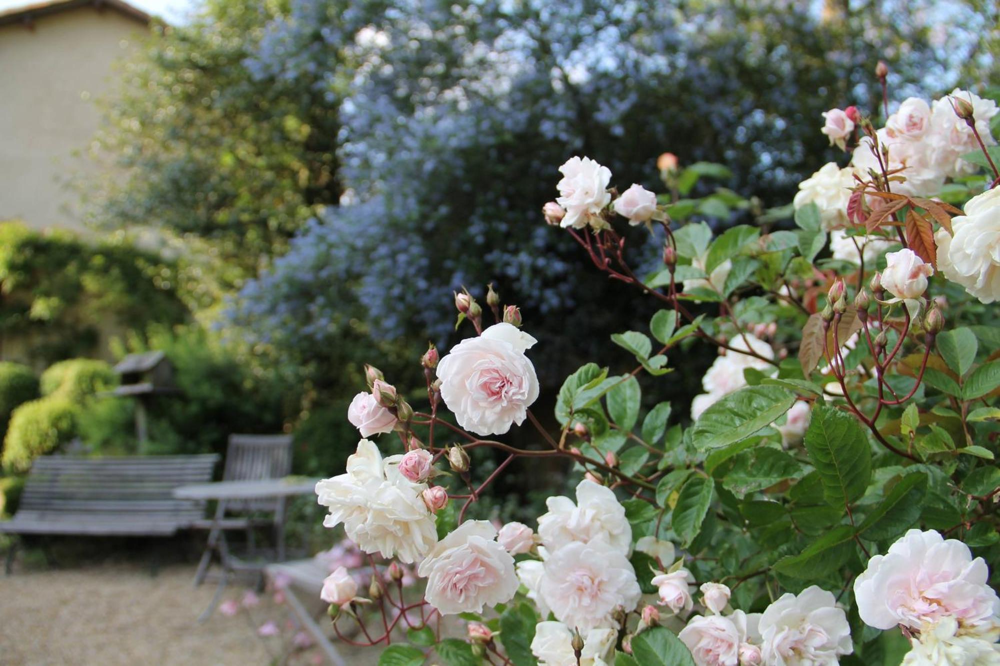 Domaine Des Roches Blanches Villa Le Pin  ภายนอก รูปภาพ