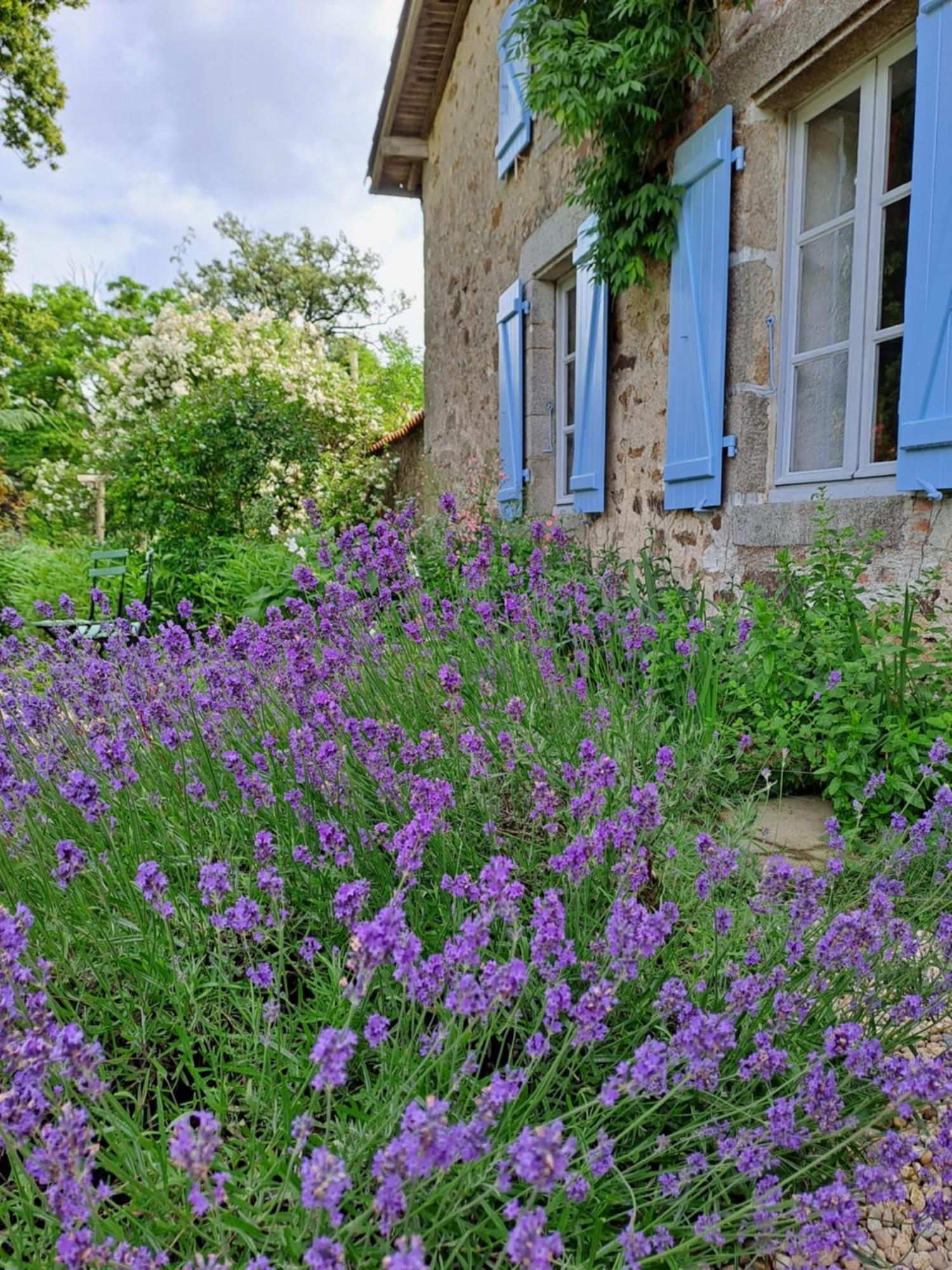 Domaine Des Roches Blanches Villa Le Pin  ภายนอก รูปภาพ