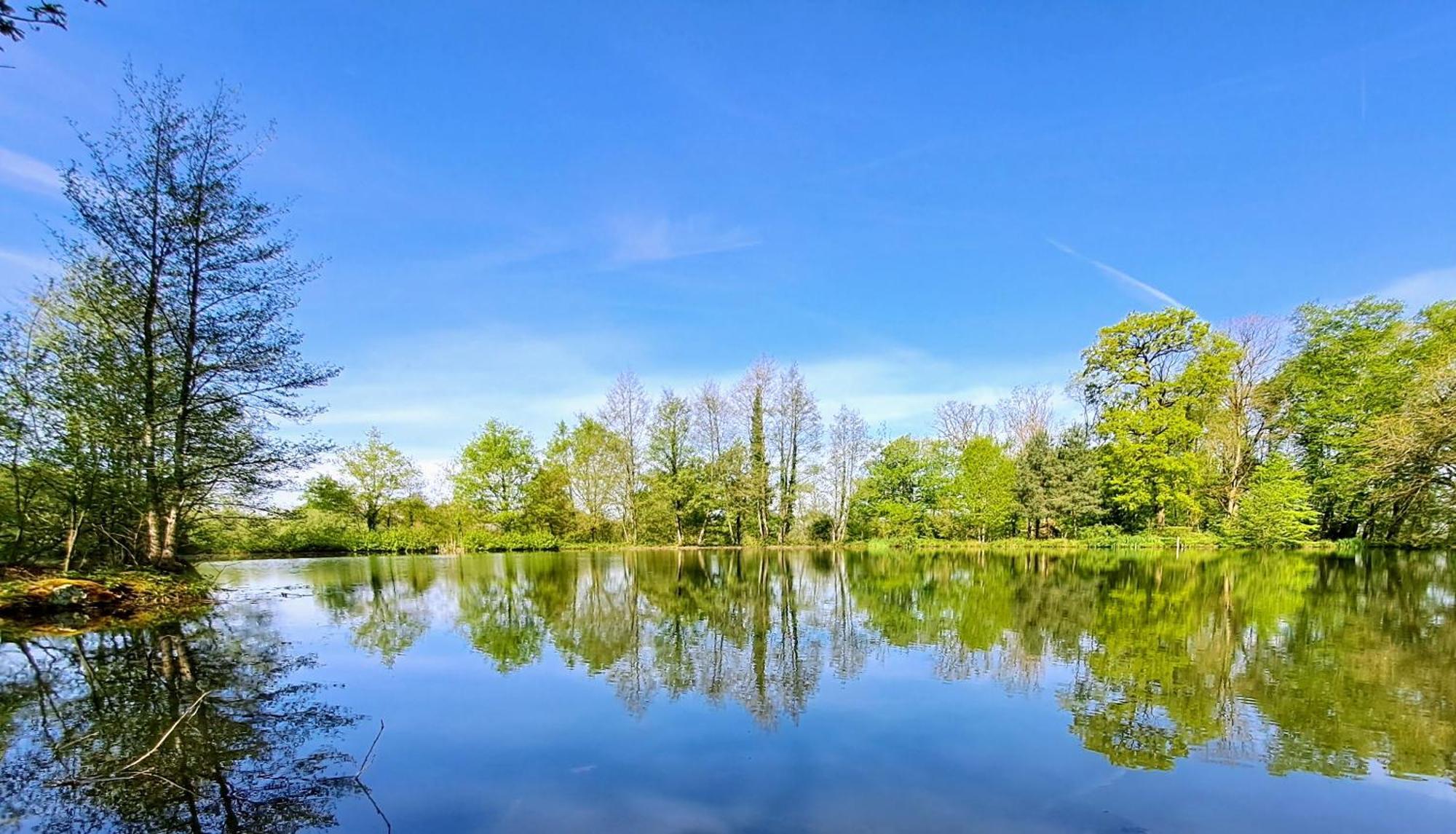 Domaine Des Roches Blanches Villa Le Pin  ภายนอก รูปภาพ