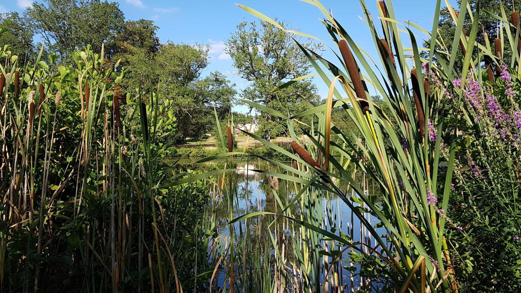 Domaine Des Roches Blanches Villa Le Pin  ภายนอก รูปภาพ
