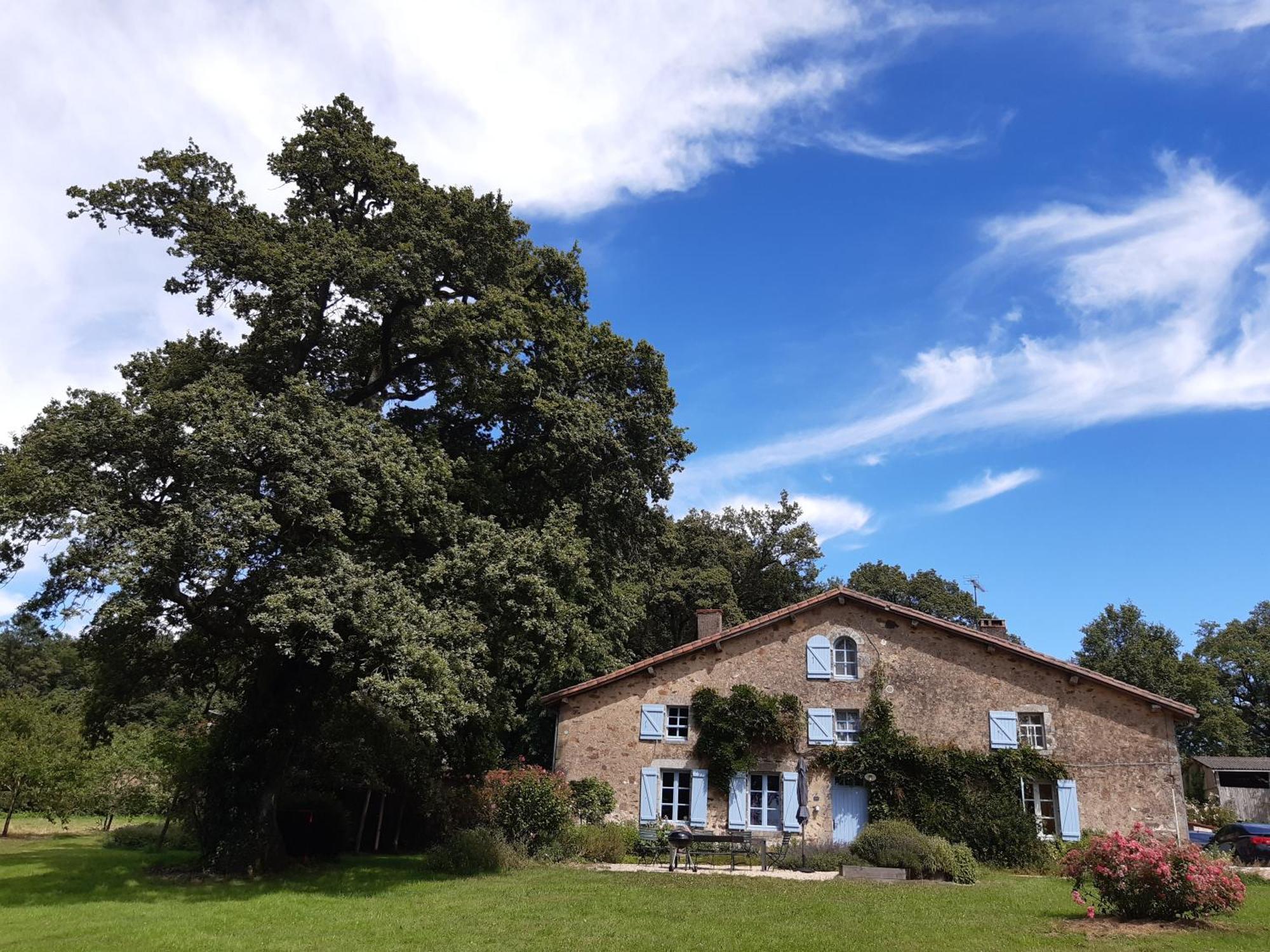 Domaine Des Roches Blanches Villa Le Pin  ภายนอก รูปภาพ